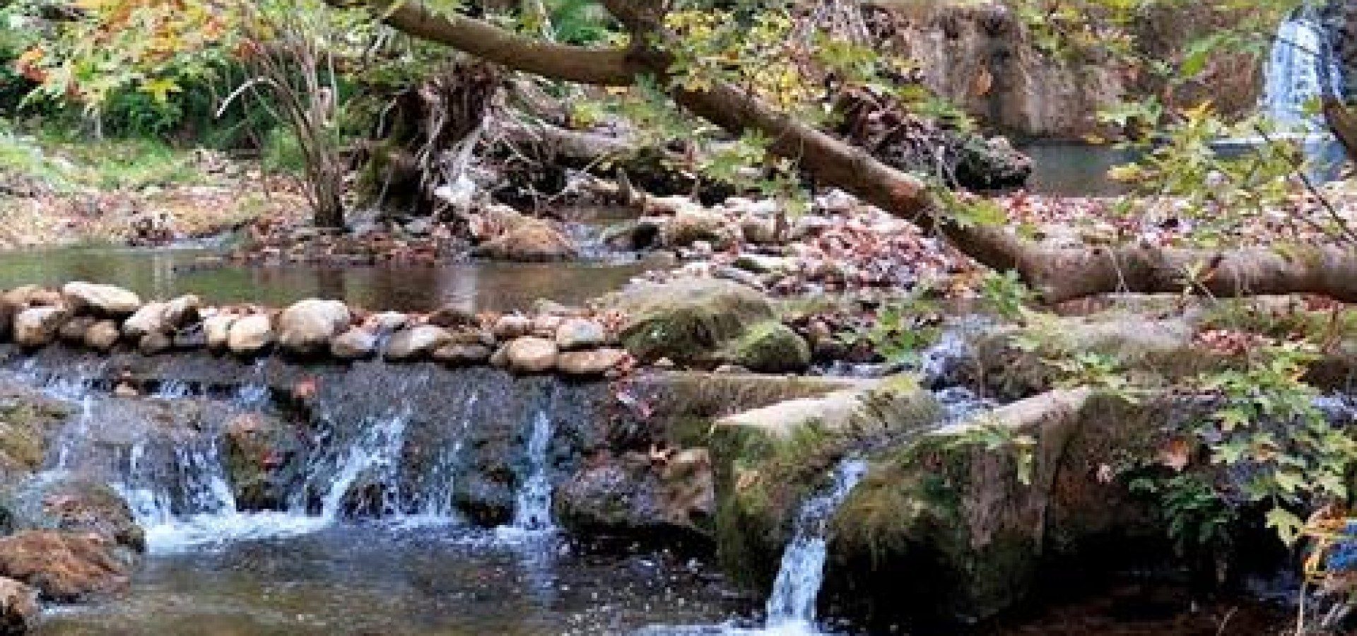 Μια μονοήμερη στη μαγευτική Εύβοια